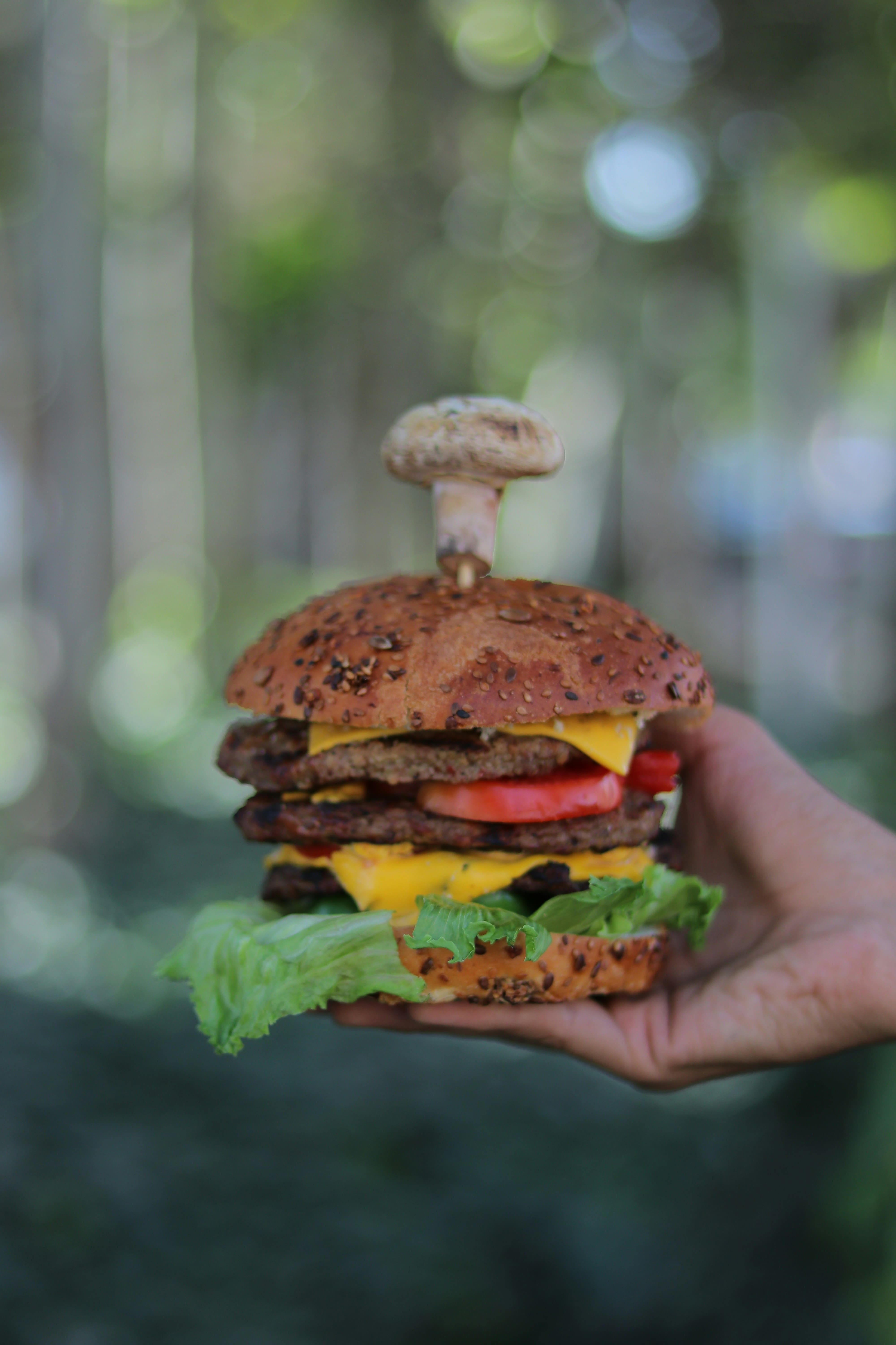 Volcano Burger(chicken)
